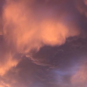 Meet your Posher, Alexandria